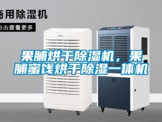行業(yè)新聞果脯烘干除濕機，果脯蜜餞烘干除濕一體機