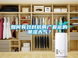 常見問題如何有效對抗兩廣最近的潮濕天氣？
