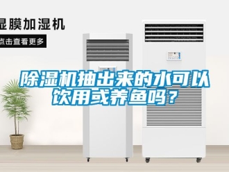 企業新聞除濕機抽出來的水可以飲用或養魚嗎？