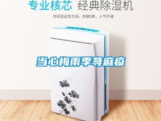 企業(yè)新聞當(dāng)心梅雨季蕁麻疹