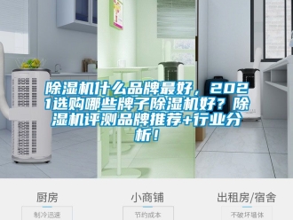 企業新聞除濕機什么品牌最好，2021選購哪些牌子除濕機好？除濕機評測品牌推薦+行業分析！
