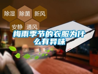 行業新聞梅雨季節的衣服為什么有異味