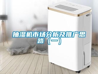 常見(jiàn)問(wèn)題抽濕機(jī)市場(chǎng)分析及推廣思路（一）