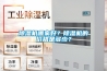 除濕機有什么用—除濕機的功能有哪些