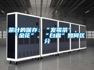 常見問題茶葉的保存：“發(fā)霉茶”、“金花”、“白霜”如何區(qū)分