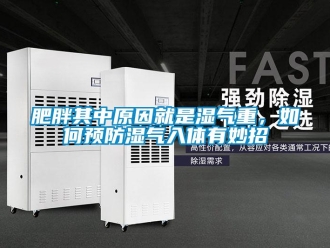 常見問題肥胖其中原因就是濕氣重，如何預防濕氣入體有妙招