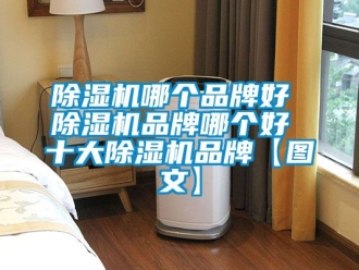 企業(yè)新聞除濕機(jī)哪個品牌好 除濕機(jī)品牌哪個好 十大除濕機(jī)品牌【圖文】