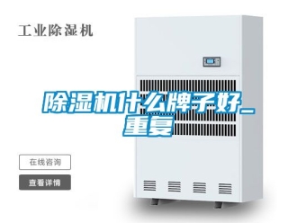 行業新聞除濕機什么牌子好_重復