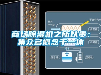 知識(shí)百科商場(chǎng)除濕機(jī)之所以貴：集眾多概念于一體