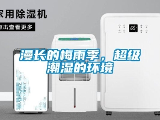 行業新聞漫長的梅雨季，超級潮濕的環境