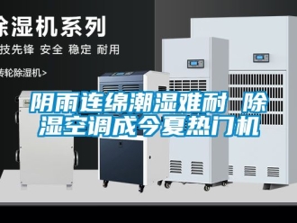 行業新聞陰雨連綿潮濕難耐 除濕空調成今夏熱門機