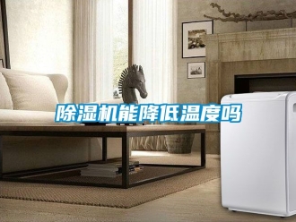 行業(yè)新聞除濕機(jī)能降低溫度嗎