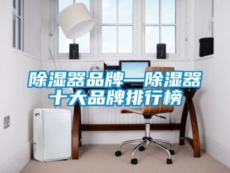 行業新聞除濕器品牌—除濕器十大品牌排行榜