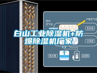 企業新聞白山工業除濕機+防爆除濕機廠家