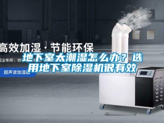 常見問題地下室太潮濕怎么辦？選用地下室除濕機很有效