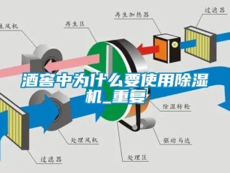行業新聞酒窖中為什么要使用除濕機_重復