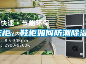 常見問題衣柜、鞋柜如何防潮除濕？