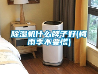 行業新聞除濕機什么牌子好(梅雨季不要慌)