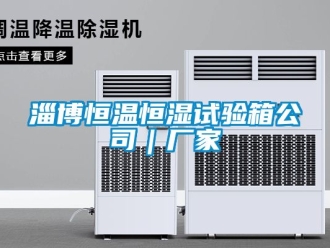 知識百科淄博恒溫恒濕試驗箱公司｜廠家