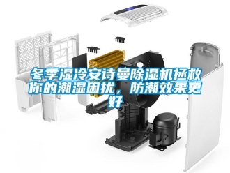 企業(yè)新聞冬季濕冷安詩曼除濕機(jī)拯救你的潮濕困擾，防潮效果更好