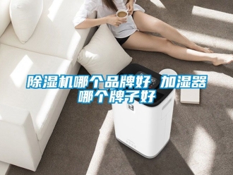 企業(yè)新聞除濕機(jī)哪個品牌好 加濕器哪個牌子好