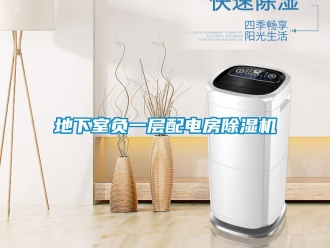 企業(yè)新聞地下室負(fù)一層配電房除濕機(jī)