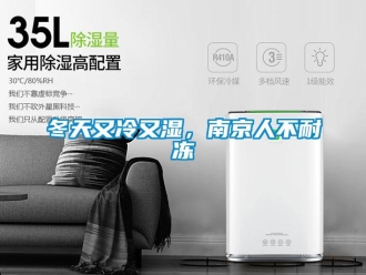 企業(yè)新聞冬天又冷又濕，南京人不耐凍