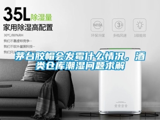 企業新聞茅臺膠帽會發霉什么情況，酒類倉庫潮濕問題求解