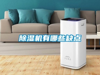 企業新聞除濕機有哪些缺點
