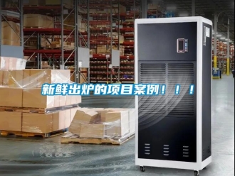 知識百科新鮮出爐的項目案例！！！