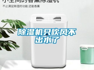 行業(yè)新聞除濕機(jī)只吹風(fēng)不出水了