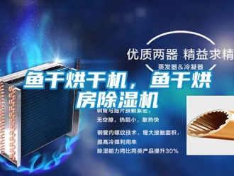 行業(yè)新聞魚(yú)干烘干機(jī)，魚(yú)干烘房除濕機(jī)
