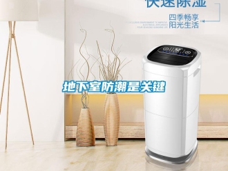 企業(yè)新聞地下室防潮是關(guān)鍵