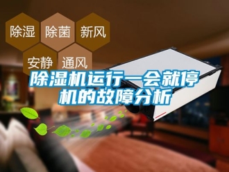 行業(yè)新聞除濕機運行一會就停機的故障分析