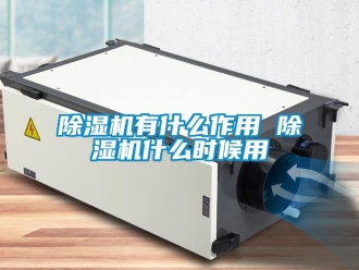 行業(yè)新聞除濕機(jī)有什么作用 除濕機(jī)什么時候用
