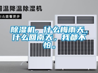 企業新聞除濕機，什么梅雨天，什么回南天，我都不怕。