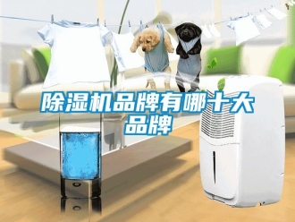 企業(yè)新聞除濕機品牌有哪十大品牌