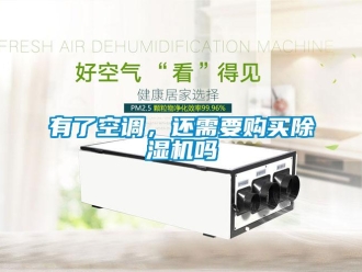 常見問題有了空調，還需要購買除濕機嗎
