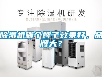 企業新聞除濕機哪個牌子效果好，品牌大？