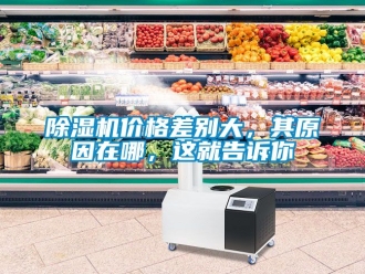 企業新聞除濕機價格差別大，其原因在哪，這就告訴你