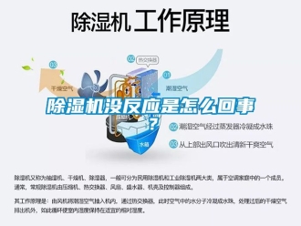 行業(yè)新聞除濕機(jī)沒反應(yīng)是怎么回事？