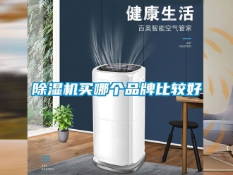 企業新聞除濕機買哪個品牌比較好