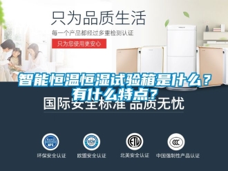 知識(shí)百科智能恒溫恒濕試驗(yàn)箱是什么？有什么特點(diǎn)？