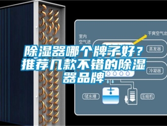 行業新聞除濕器哪個牌子好？推薦幾款不錯的除濕器品牌