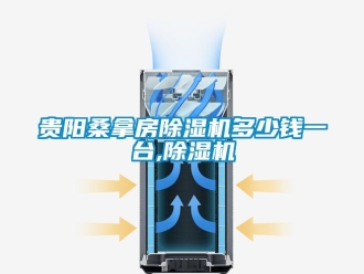 行業新聞貴陽桑拿房除濕機多少錢一臺,除濕機