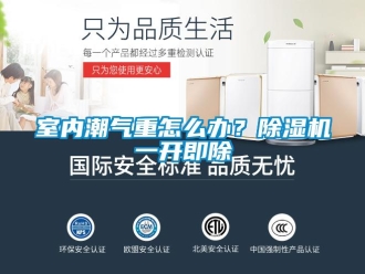 常見問題室內潮氣重怎么辦？除濕機一開即除