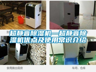 企業新聞超靜音除濕機—超靜音除濕機優點及使用常識介紹