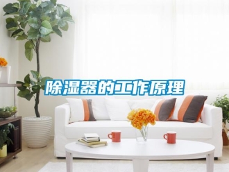 企業新聞除濕器的工作原理