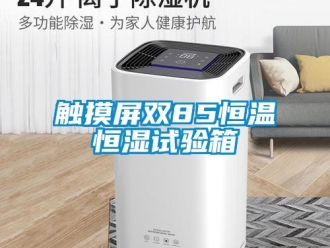 知識百科觸摸屏雙85恒溫恒濕試驗箱