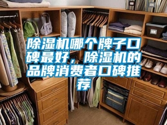 企業(yè)新聞除濕機哪個牌子口碑最好，除濕機的品牌消費者口碑推薦